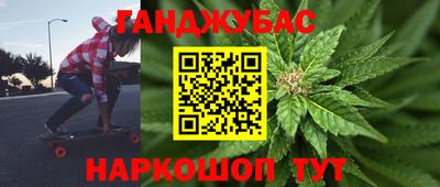шишки Кингисепп